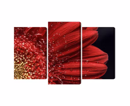 Canvastavla - Multipart Flower Petals on a Macro