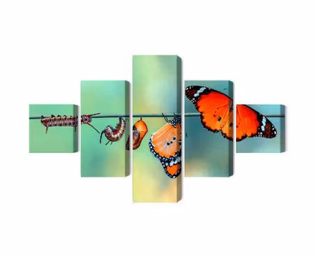 Canvastavla - Multipart Colorful Caterpillars and