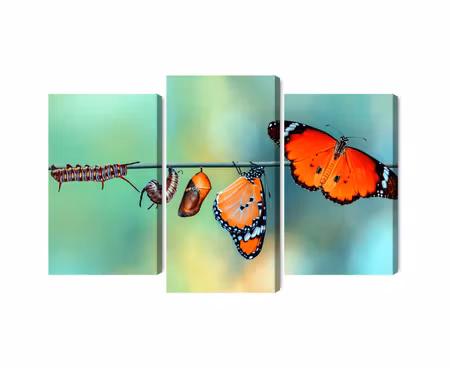Canvastavla - Multipart Colorful Caterpillars and