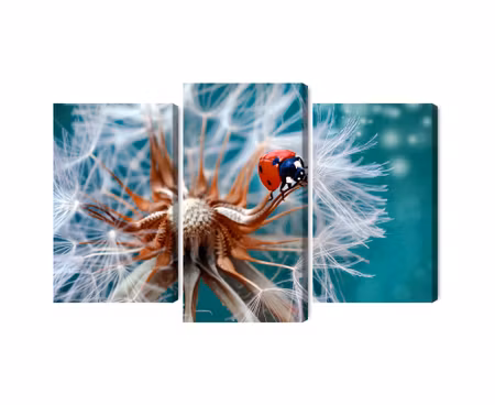 Canvastavla - Multipart Ladybug on a Dandelion on