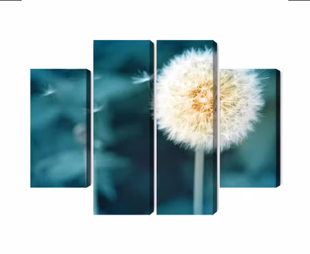 Canvastavla - Multipart Dandelion Flower Close Up