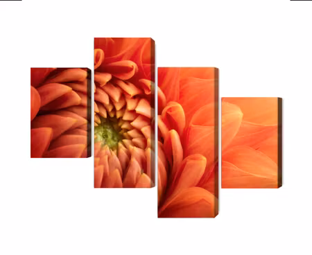 Canvastavla - Multipart Orange Chrysanthemum on a