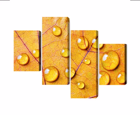 Canvastavla - Multipart Water Drops on an Autumn