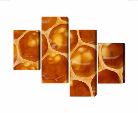 Canvastavla - Multipart Honeycomb in Macro Scale