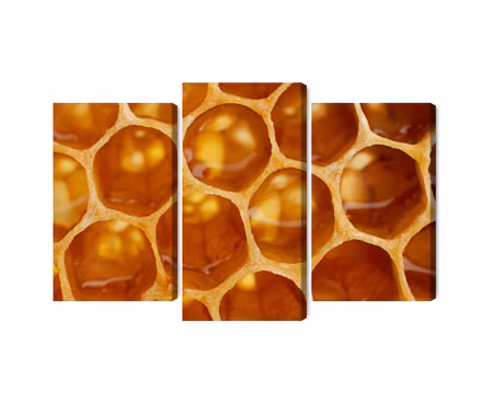 Canvastavla - Multipart Honeycomb in Macro Scale