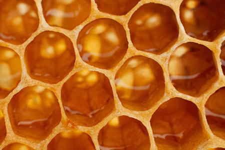 Canvastavla - Multipart Honeycomb in Macro Scale
