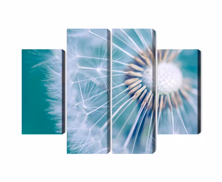Canvastavla - Multipart Dandelion on a Macro Scale