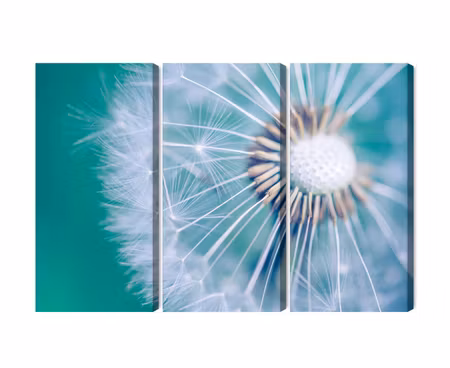 Canvastavla - Multipart Dandelion on a Macro Scale