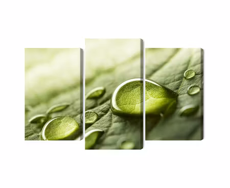 Canvastavla - Multipart Water Drops on a Leaf on