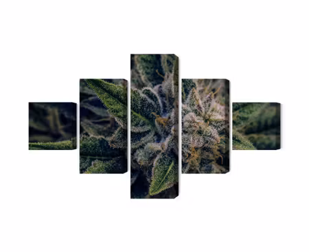 Canvastavla - Multipart Cannabis Plant Close Up