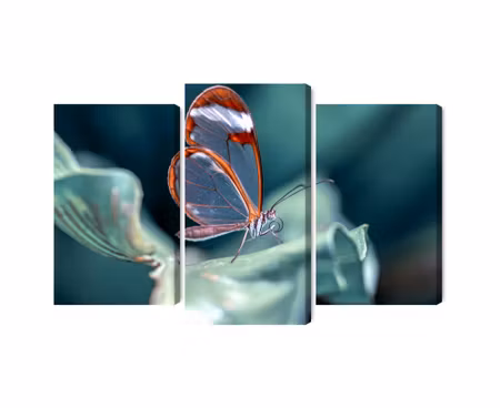 Canvastavla - Multipart Glass-winged Butterfly