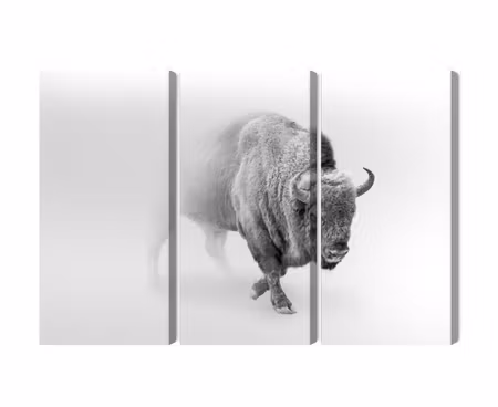 Canvastavla - Multipart Bison in the Fog D