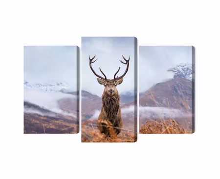 Canvastavla - Multipart a Deer on a Background of