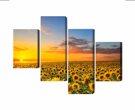 Canvastavla - Multipart Sunset over a D Sunflower