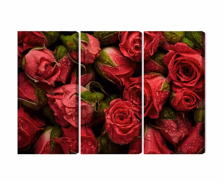 Canvastavla - Multipart Roses with Water Drops