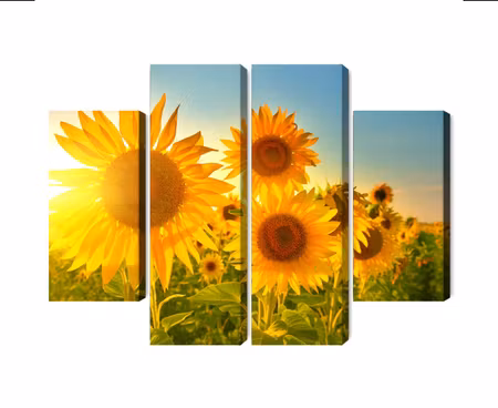 Canvastavla - Multipart Sunflower Field At Sunset