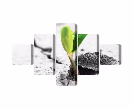Canvastavla - Multipart D Plant Sprouting