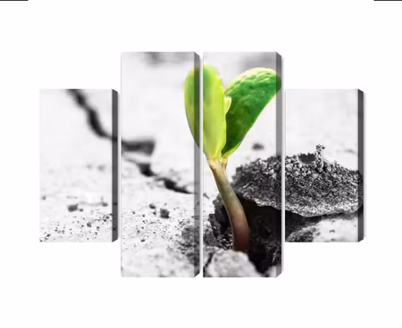 Canvastavla - Multipart D Plant Sprouting