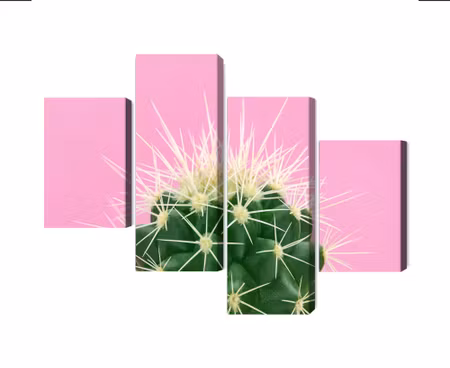 Canvastavla - Multipart Cactus on a Pink