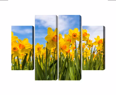 Canvastavla - Multipart Daffodil Field D