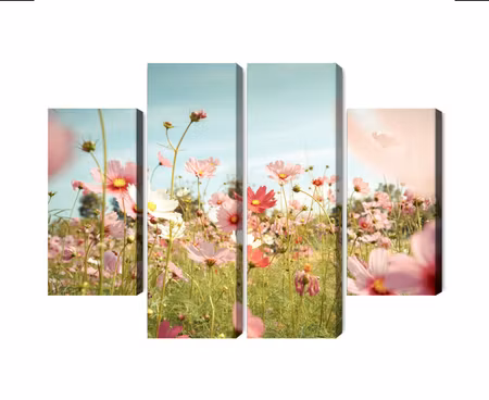 Canvastavla - Multipart Cosmos Flowers in the