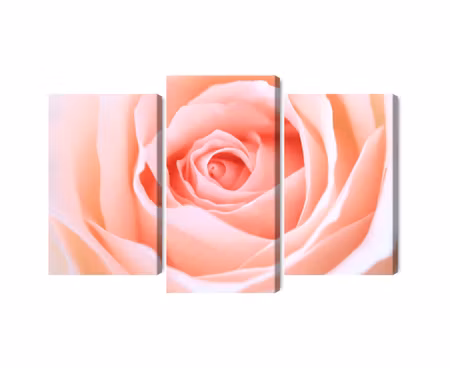 Canvastavla - Multipart Pastel Rose on a D Macro