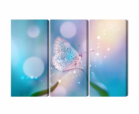 Canvastavla - Multipart a Delicate Butterfly on a