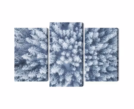 Canvastavla - Multipart Aerial View of the Winter