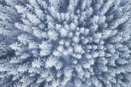 Canvastavla - Multipart Aerial View of the Winter