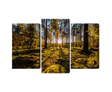 Canvastavla - Multipart Morning Sun Rays in the