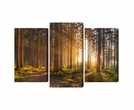 Canvastavla - Multipart Sunset in the Forest