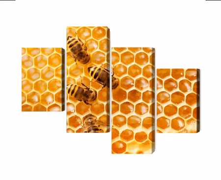 Canvastavla - Multipart Bees on the Honeycomb