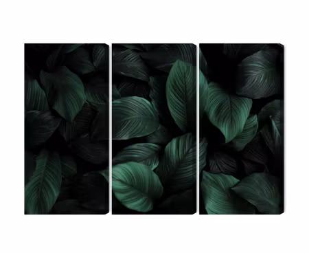 Canvastavla - Multipart Green Leaves on a Macro