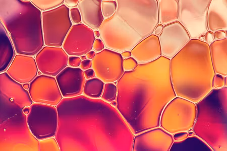 Canvastavla - Multipart Water Drops on a Macro