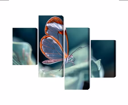 Canvastavla - Multipart Glass-winged Butterfly