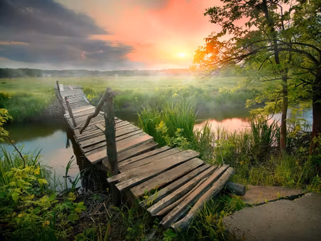Canvastavla - Multipart Meadow At Dawn