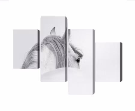 Canvastavla - Multipart Andalusian Horse in the