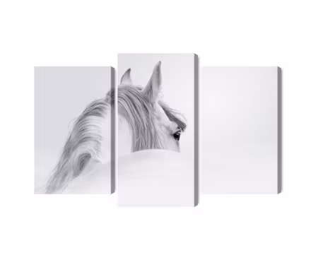 Canvastavla - Multipart Andalusian Horse in the