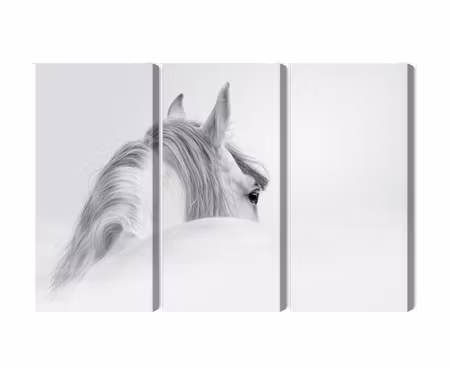 Canvastavla - Multipart Andalusian Horse in the