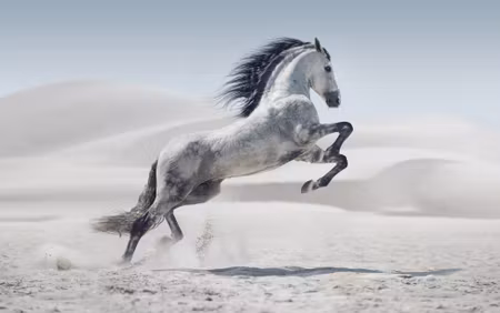 Canvastavla - Multipart Horse in the Desert D