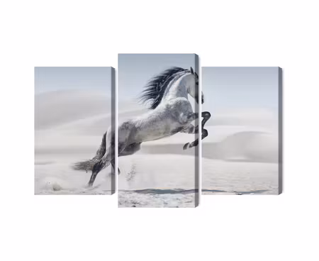 Canvastavla - Multipart Horse in the Desert D
