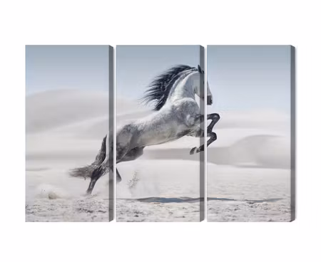 Canvastavla - Multipart Horse in the Desert D