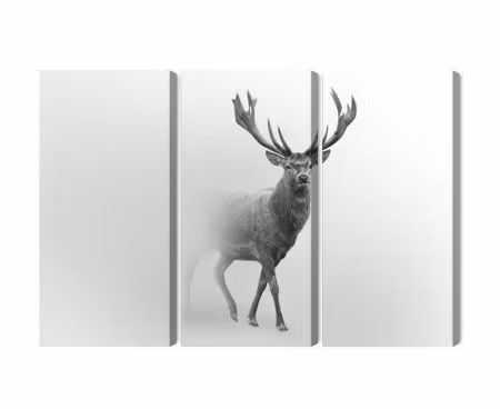 Canvastavla - Multipart a Stately Deer in the Fog