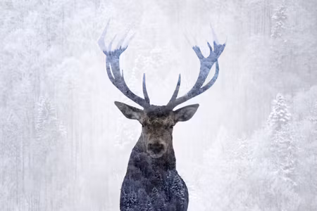 Canvastavla - Multipart Deer in the Winter D