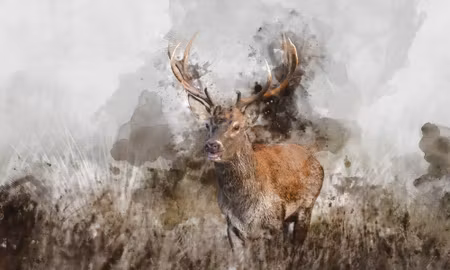Canvastavla - Multipart a Deer Painted with D
