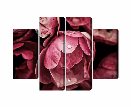 Canvastavla - Multipart Peony Flowers Close Up D