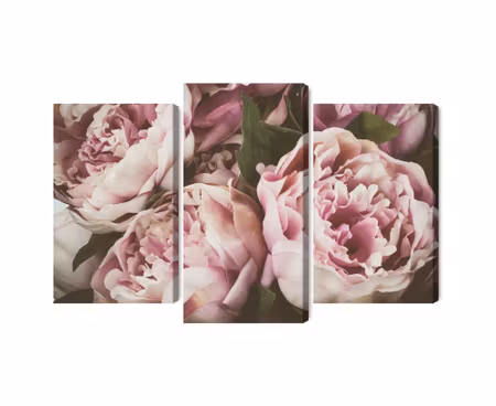 Canvastavla - Multipart Delicate Vintage Peony