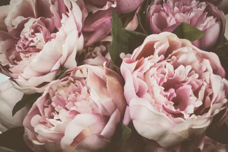 Canvastavla - Multipart Delicate Vintage Peony