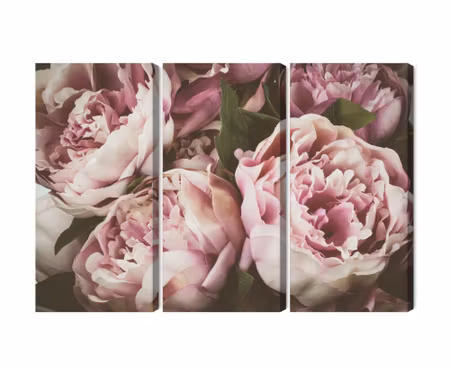 Canvastavla - Multipart Delicate Vintage Peony