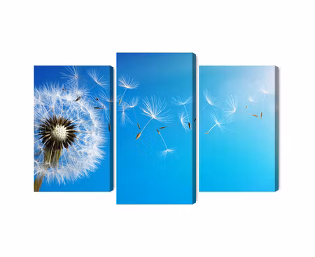 Canvastavla - Multipart Dandelion with Flying